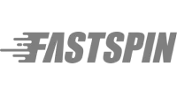 Visa partner logo